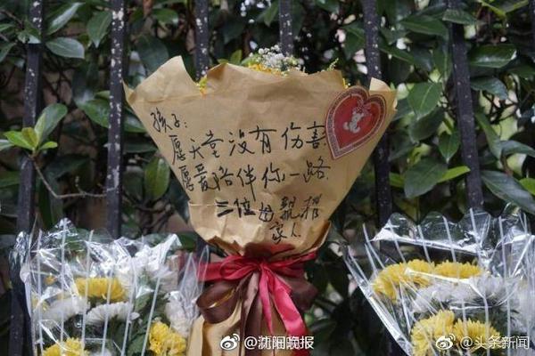恢复健康！美媒晒麦凯恩训练视频：很期待他的第二个赛季